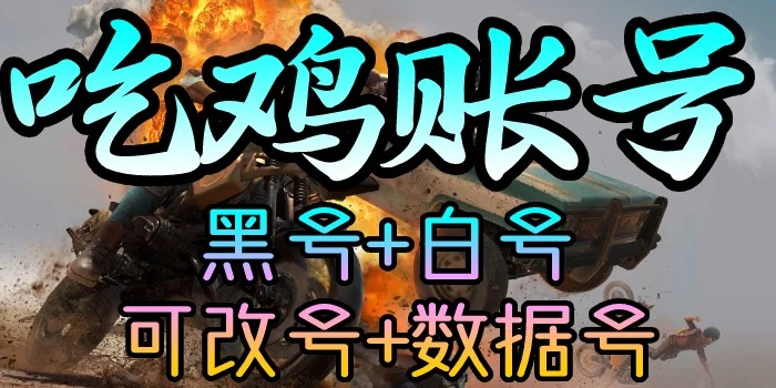 PUBG 可改永久黑号